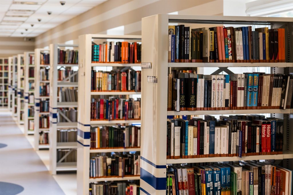Literaturrecherche für die Bachelorarbeit, Recherchedatenbanken