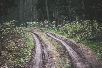 Ein duales Masterstudium kann spannend sein. Insbesondere die Mischung aus Theorie und Praxis ist verlocken. Doch neben den Vorteilen gibt's auch Nachteile.