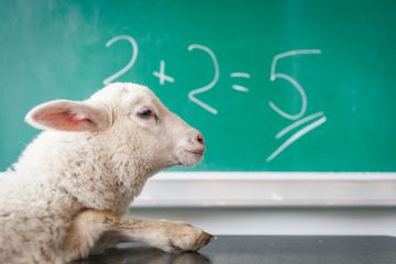 7 Beispiele für Bachelorarbeiten in Mathematik gefällig?