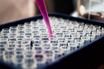 Masterarbeit Biologie: 9 Beispiele für Deine Thesis